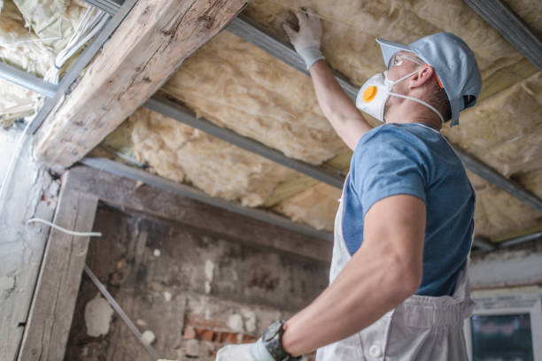 Types of Insulation We Offer in Alexander City, AL